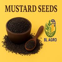 MUSTARD SEEDS 